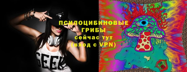 герыч Гусь-Хрустальный
