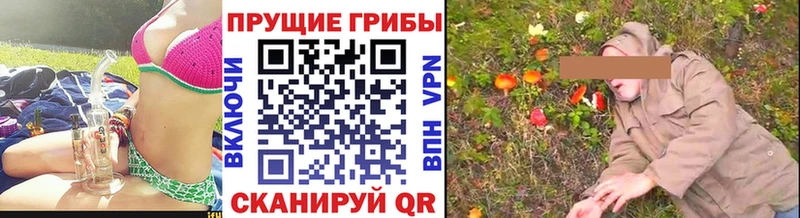 Купить закладки  Златоуст  Галлюциногенные грибы GOLDEN TEACHER 